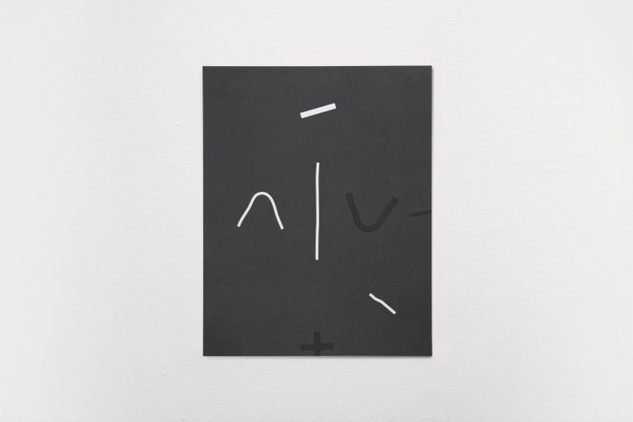 Sean Talley | AIV, 2013. Graphite powder on paper. 14 x 11 inches