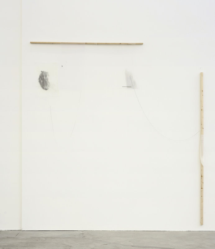 Mitzi Pederson, Untitled, 2014, Tulle, ink, glitter, acrylic, wood, 119 x 108 x 1 ½ inches. Courtesy of Ratio 3